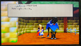 Quest 64 Nintendo 64 N64 Original Game | 1998 Tested & Cleaned | Authentic