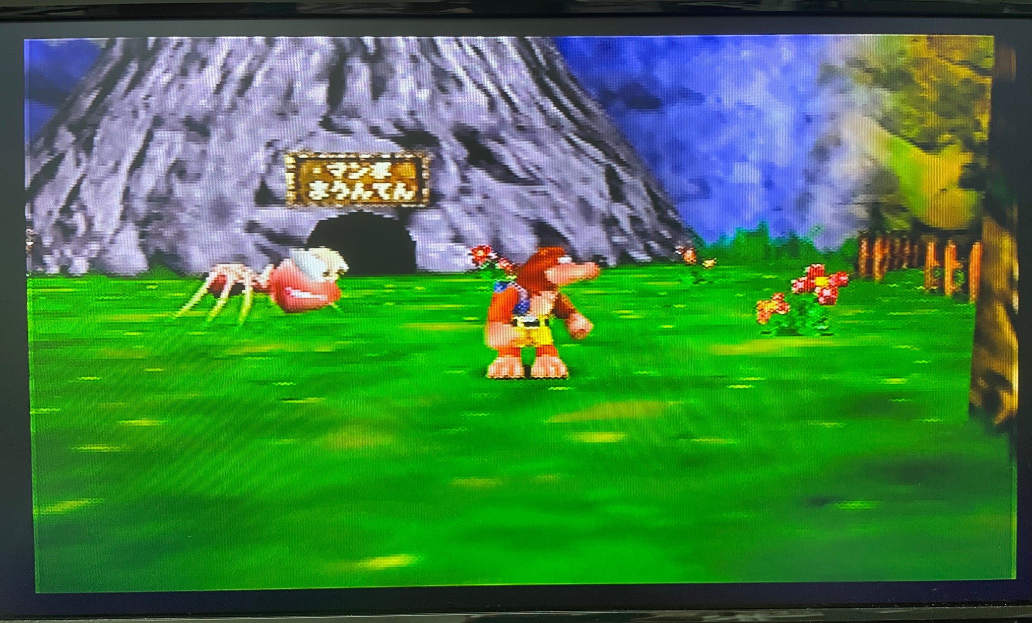 Japanese Banjo-Kazooie 64 Nintendo 64 N64 Game | 1998 Tested